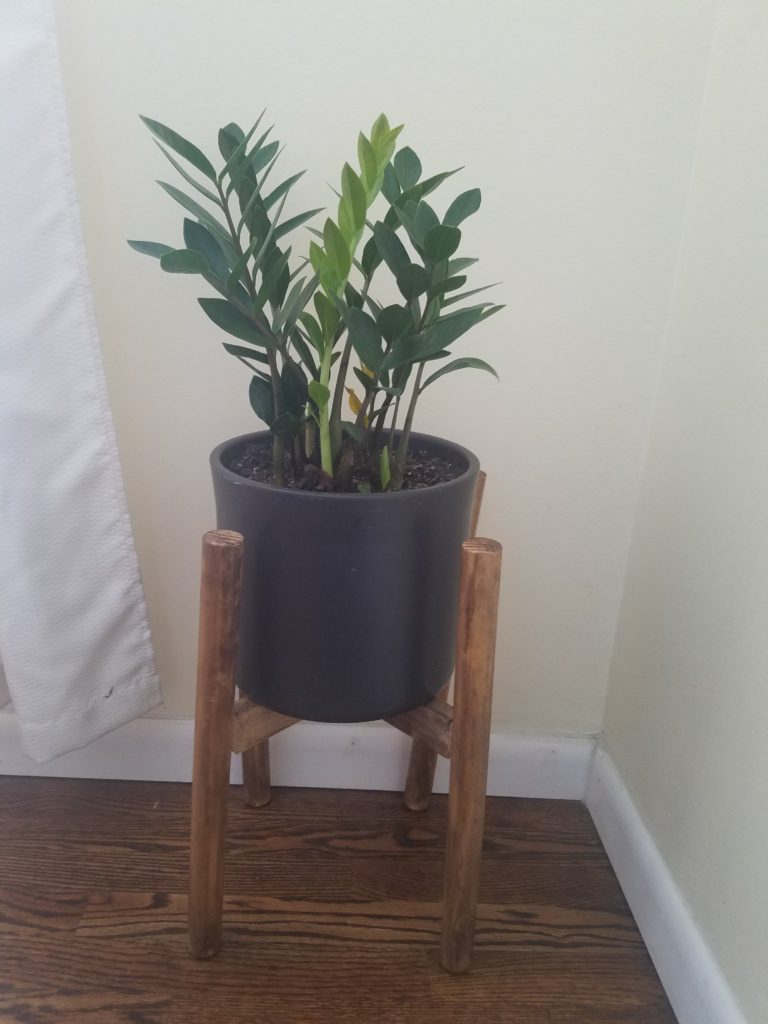 Midcentury Modern Plant Stand