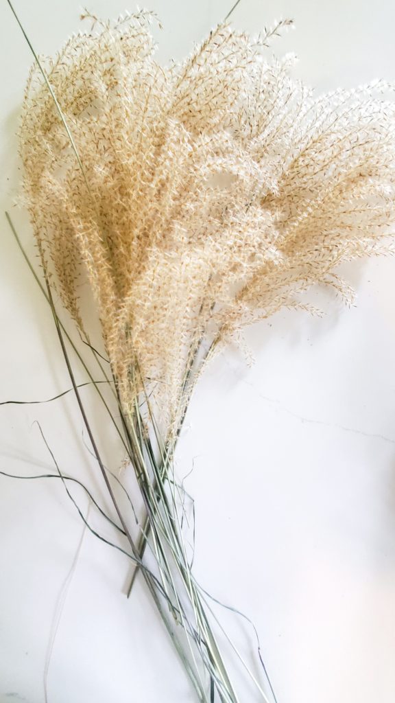 dried grass flower