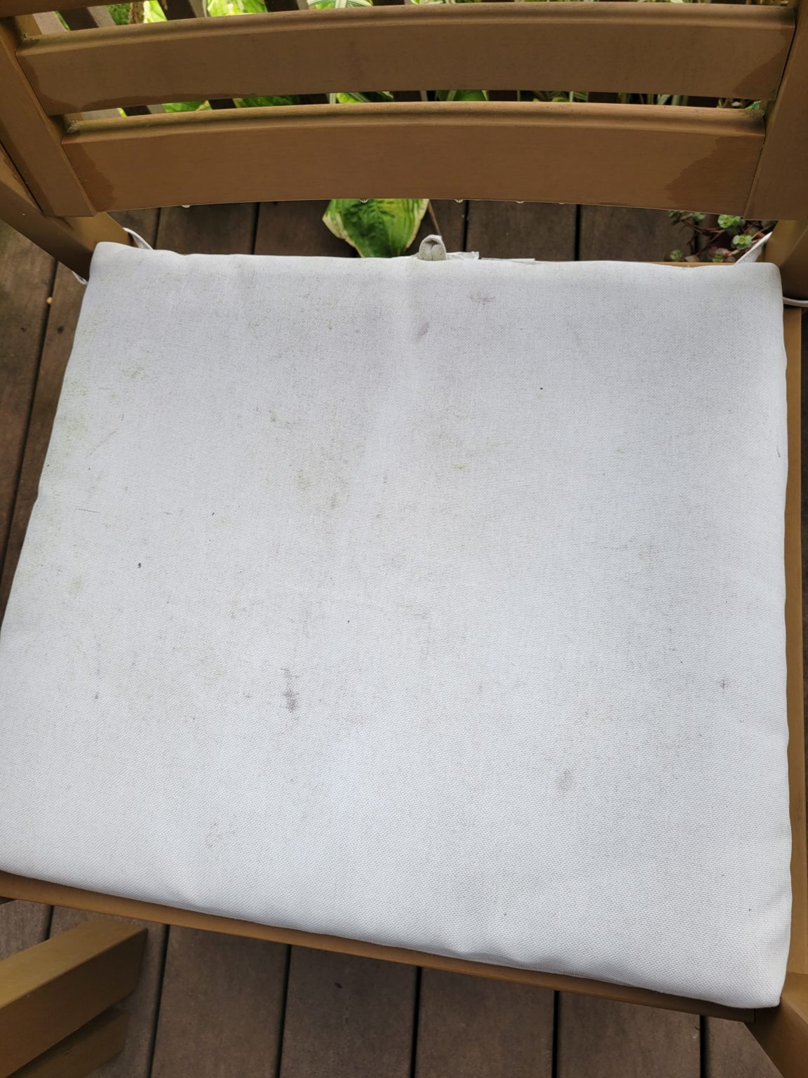 How To Remove Mold And Mildew From Your Patio Cushions Without Bleach — Peony Street