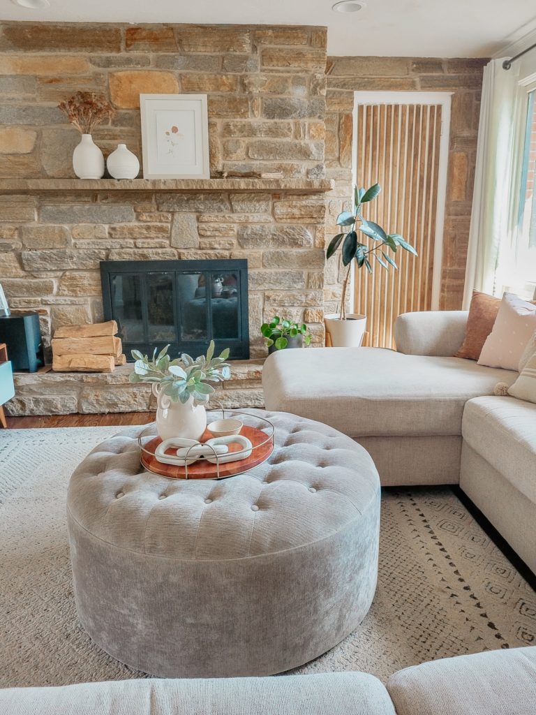 Modern Organic Living Room