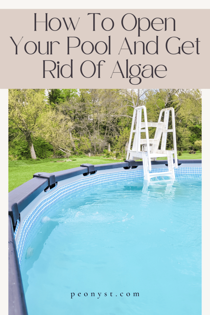 How To Get Rid Of Algae