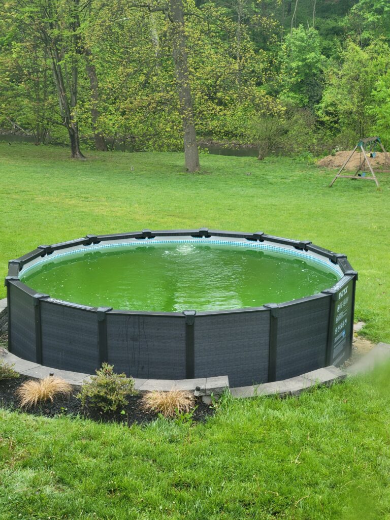 Pool with algae